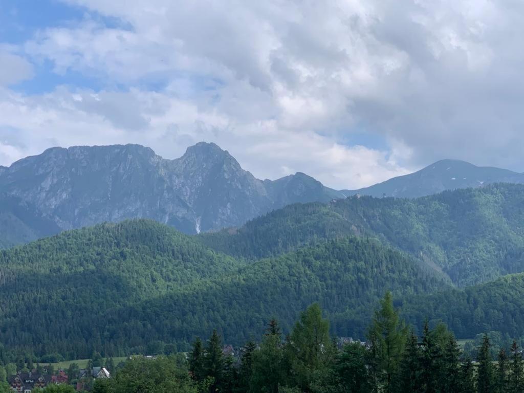 Apartament Butorowy Wierch Kościelisko Εξωτερικό φωτογραφία